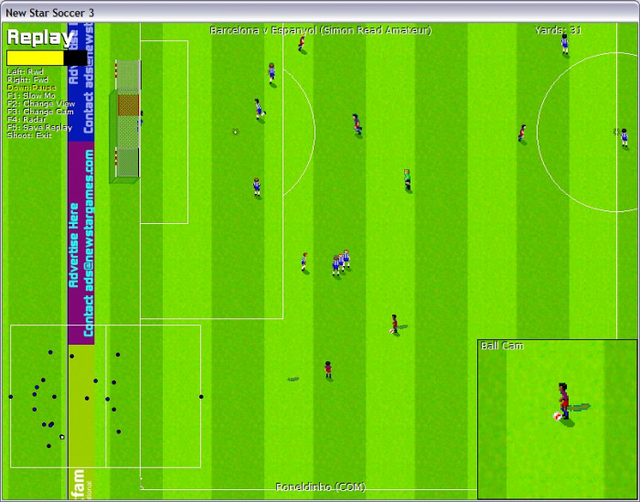 Скриншот из игры New Star Soccer 3