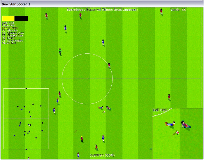 Скриншот из игры New Star Soccer 3