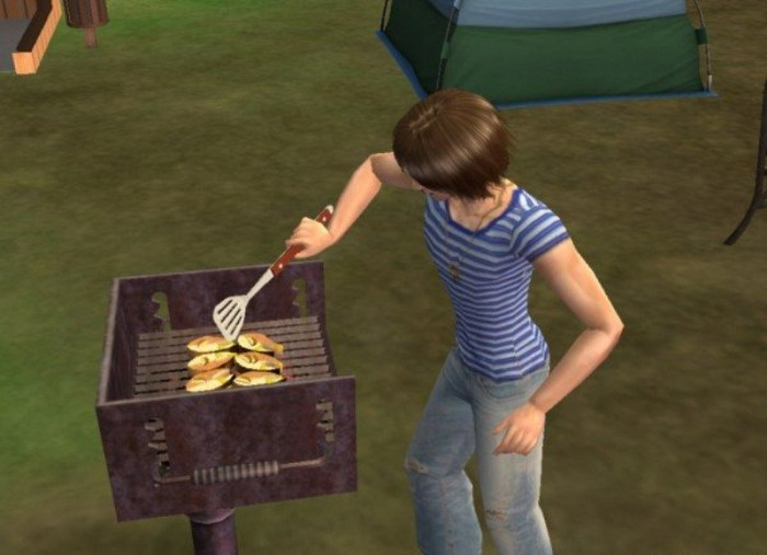 Обложка для игры Sims 2: Bon Voyage