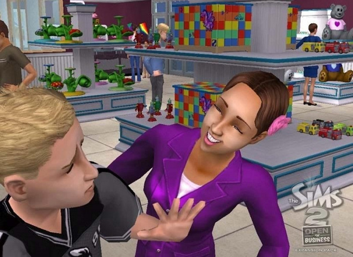 Обложка для игры Sims 2: Open for Business, The