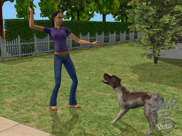 Скриншот из игры Sims 2: Pets, The