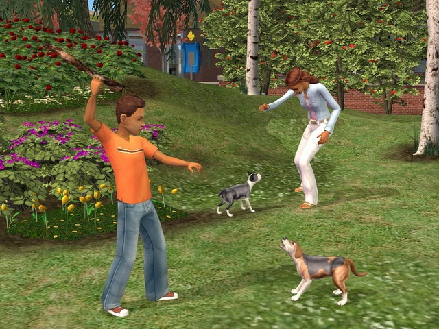Скриншот из игры Sims 2: Pets, The