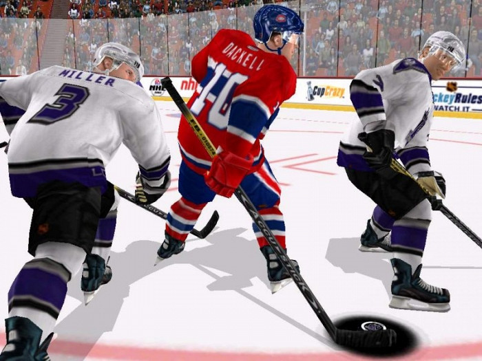 Скриншот из игры NHL 2003