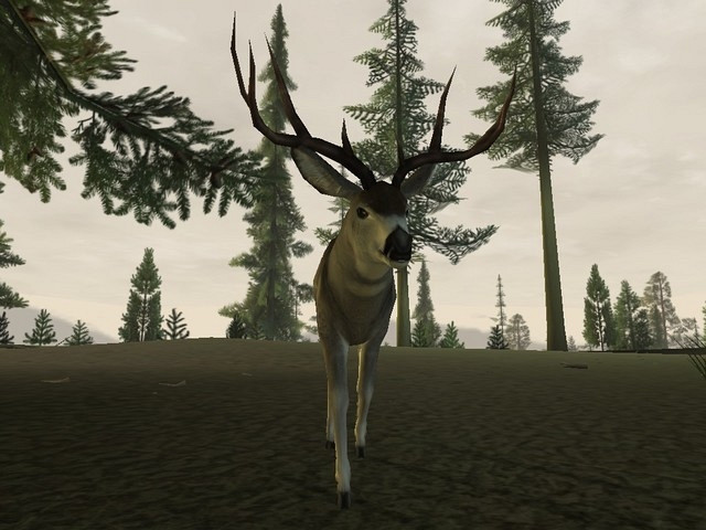 Скриншот из игры Deer Hunter 2005
