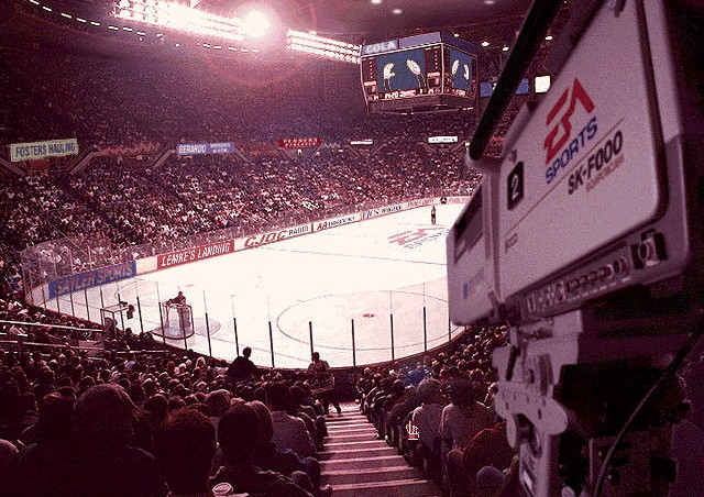 Скриншот из игры NHL Hockey '95