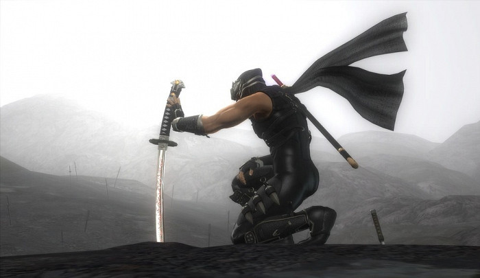 Скриншот из игры Ninja Gaiden 2