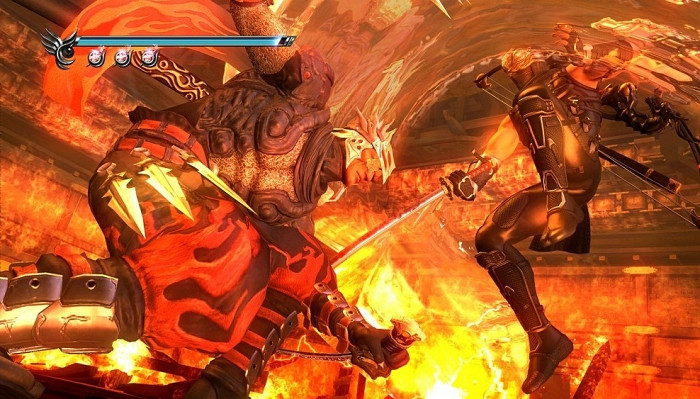 Скриншот из игры Ninja Gaiden 2