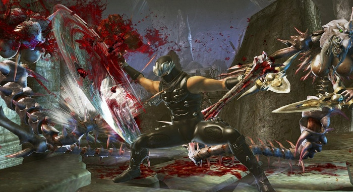 Скриншот из игры Ninja Gaiden 2