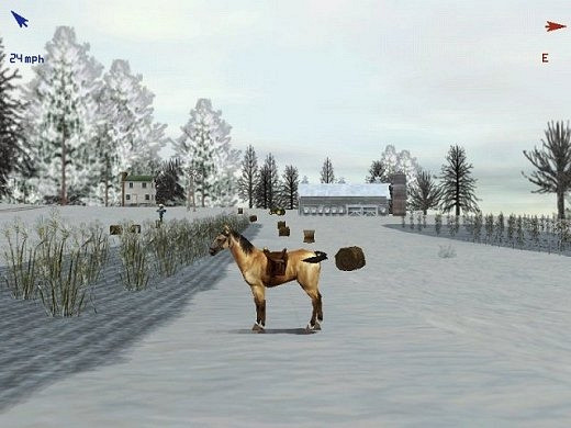 Скриншот из игры Deer Hunter 5: Tracking Trophies