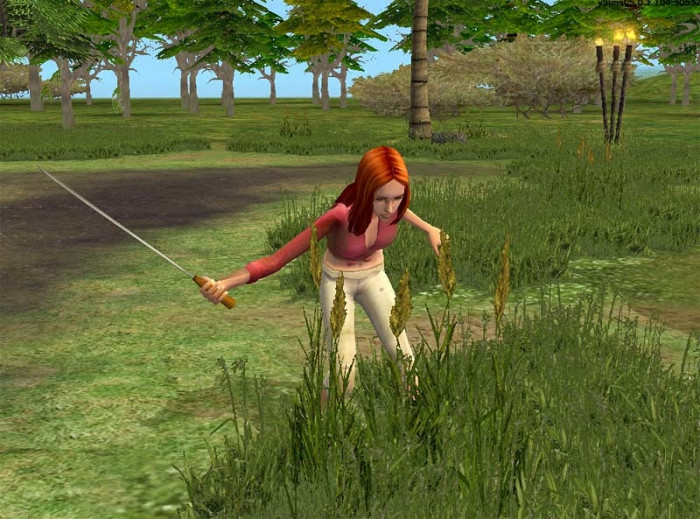 Скриншот из игры Sims: Castaway Stories, The