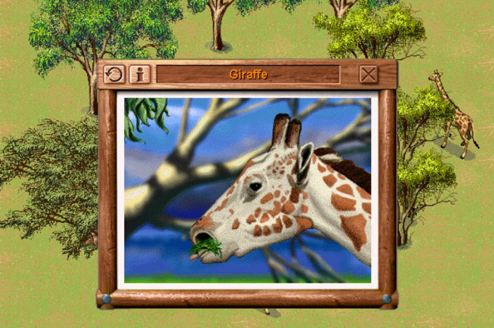 Скриншот из игры SimSafari