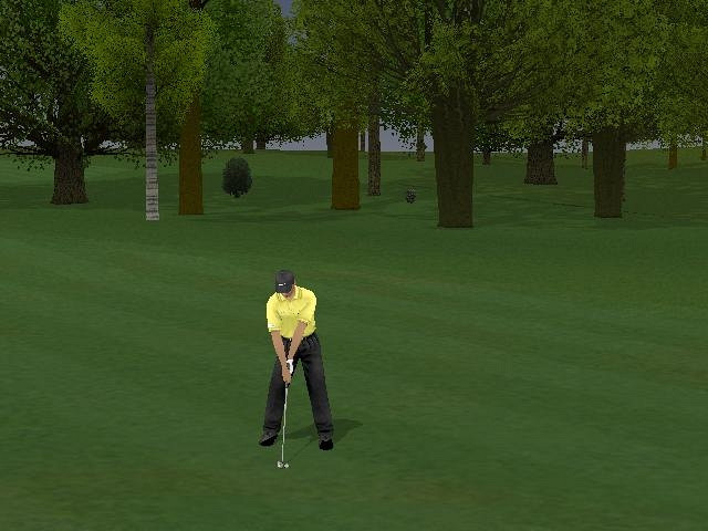 Скриншот из игры ProStroke Golf: World Tour 2007