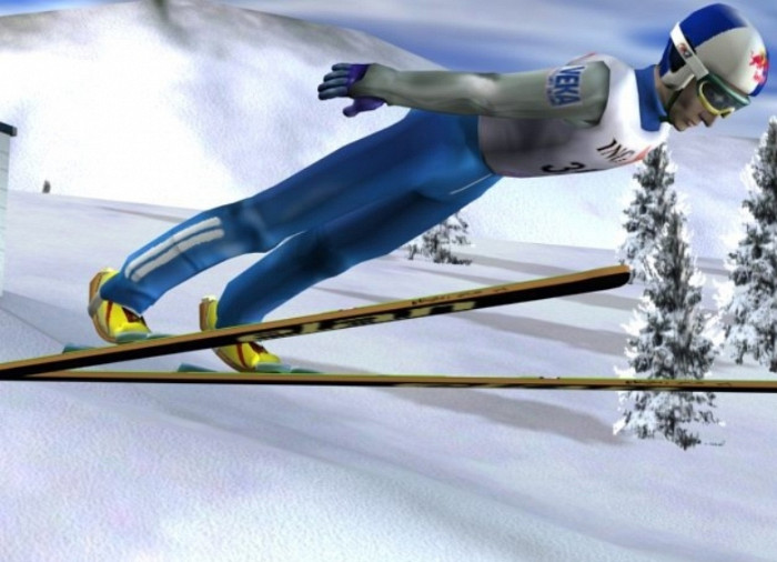 Скриншот из игры Ski Jumping 2004