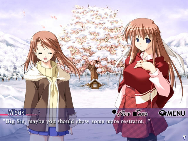 Скриншот из игры Snow Sakura