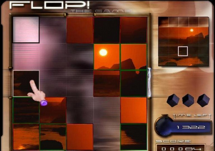 Скриншот из игры Flop The Game
