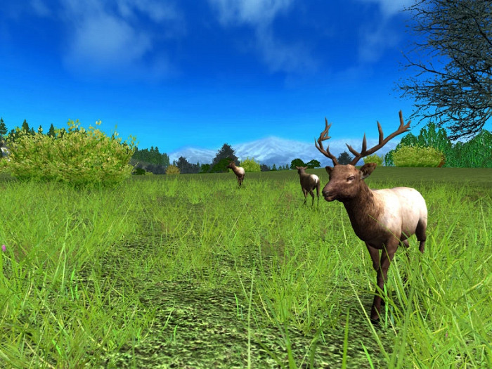 Скриншот из игры Hunting Unlimited 2010