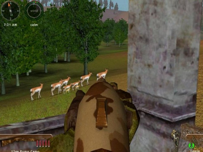 Скриншот из игры Hunting Unlimited 2009