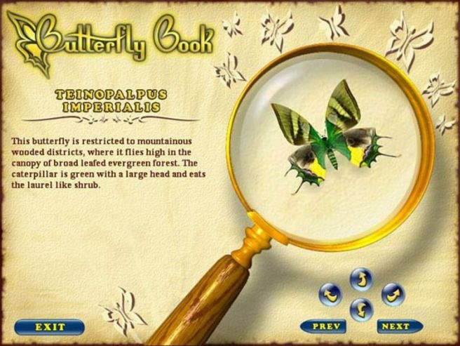 Скриншот из игры Butterfly Escape