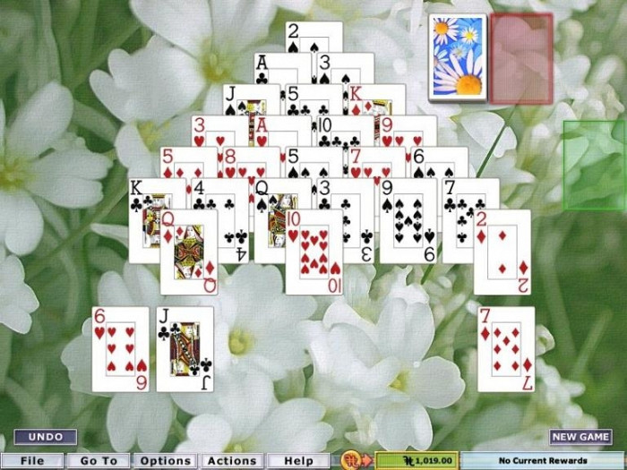 Скриншот из игры Hoyle Card Games 2005