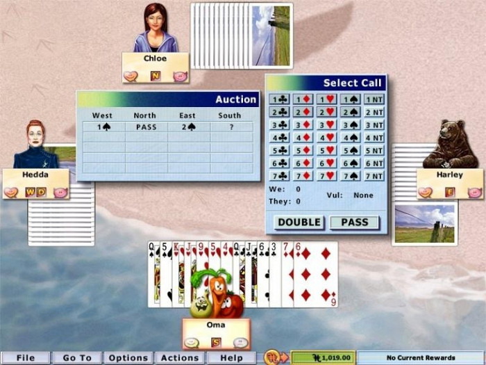 Скриншот из игры Hoyle Card Games 2005