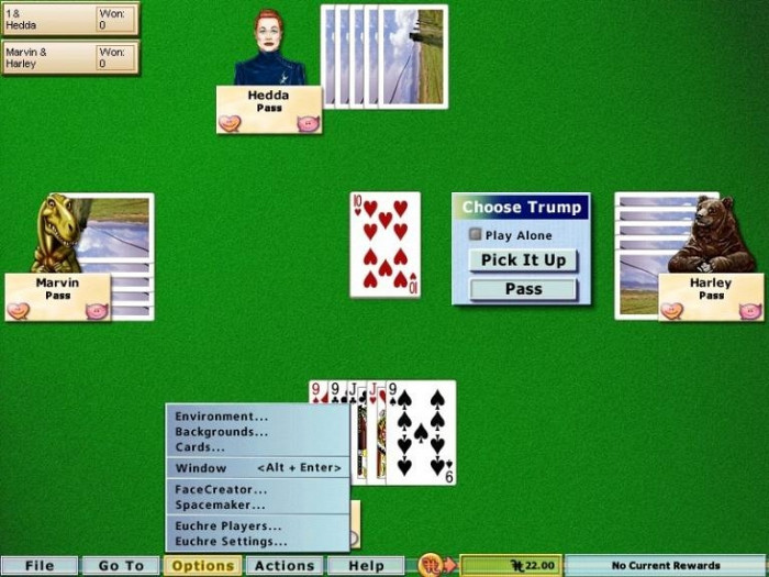 Скриншот из игры Hoyle Card Games 2007