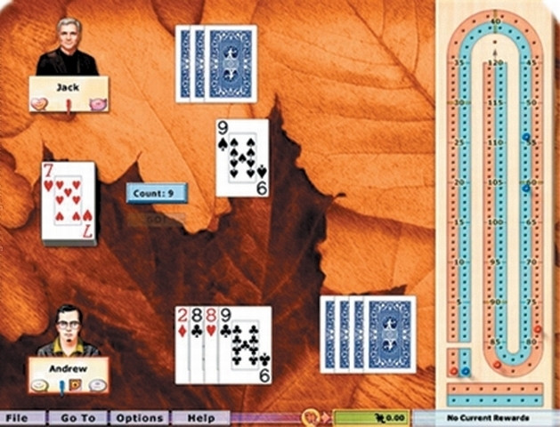 Скриншот из игры Hoyle Card Games (2008)