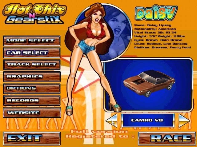 Обложка для игры Hot Chix 'n' Gear Stix