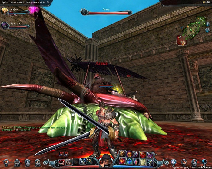 Скриншот из игры Land of Chaos Online
