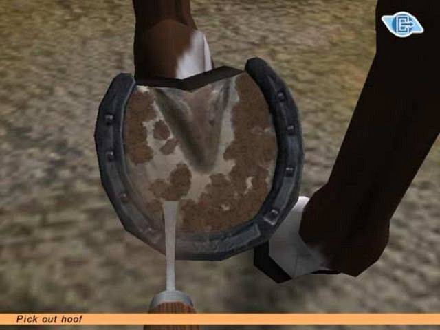 Скриншот из игры Let's Ride! Riding Star
