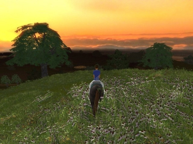 Скриншот из игры Let's Ride! Riding Star