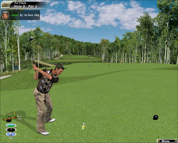 Скриншот из игры Links 2003