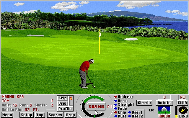 Скриншот из игры Links 386 Pro