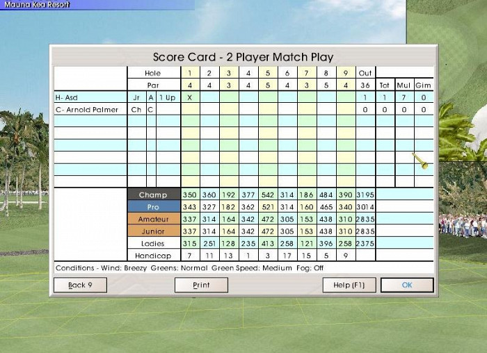 Скриншот из игры Links LS 2000