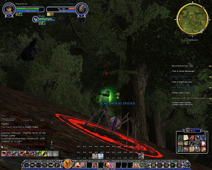 Скриншот из игры Lord of the Rings Online: Shadows of Angmar, The
