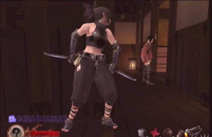 Скриншот из игры Tenchu: Return From Darkness