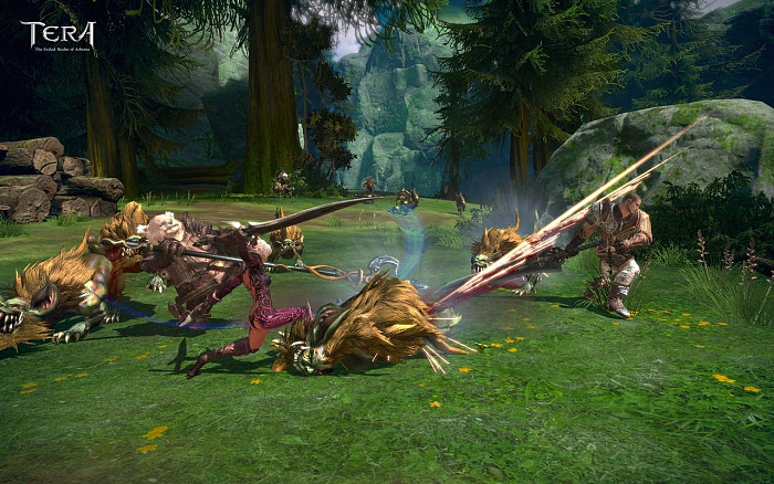 Скриншот из игры Tera