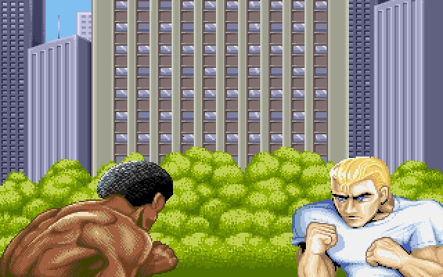 Скриншот из игры Street Fighter 2: The World Warrior