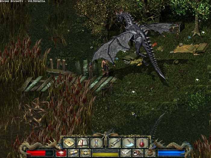 Скриншот из игры Divine Divinity