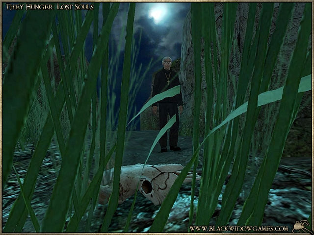 Скриншот из игры They Hunger: Lost Souls