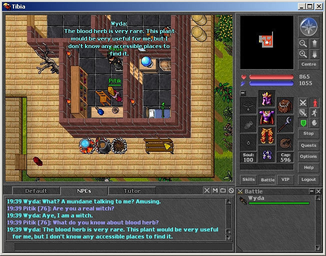 Скриншот из игры Tibia