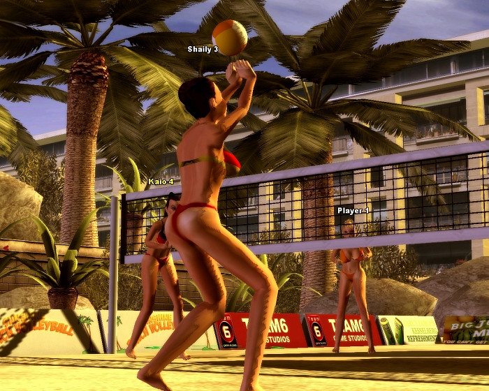 Скриншот из игры Sunshine Beach Volleyball