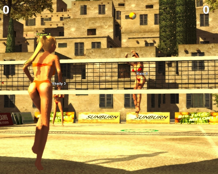 Скриншот из игры Sunshine Beach Volleyball