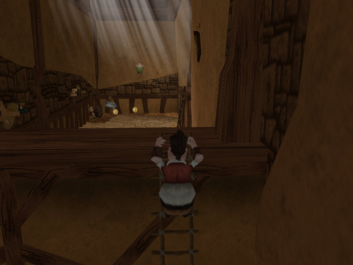Скриншот из игры Donkey Xote