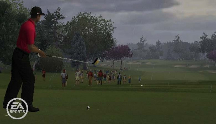 Скриншот из игры Tiger Woods PGA Tour Online