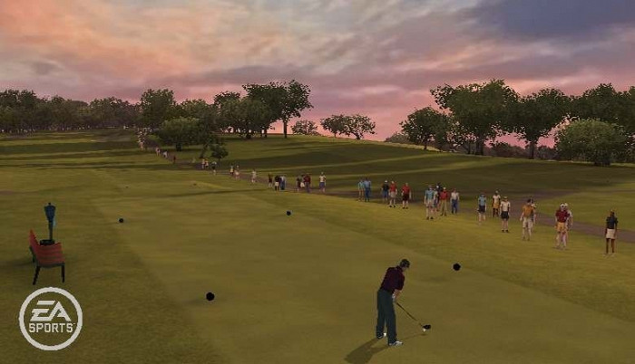 Скриншот из игры Tiger Woods PGA Tour Online