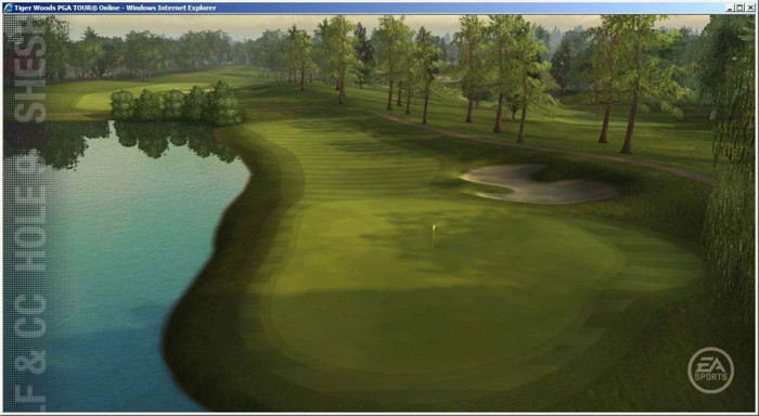 Скриншот из игры Tiger Woods PGA Tour Online