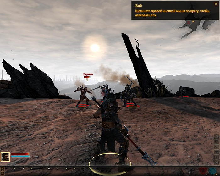 Скриншот из игры Dragon Age 2