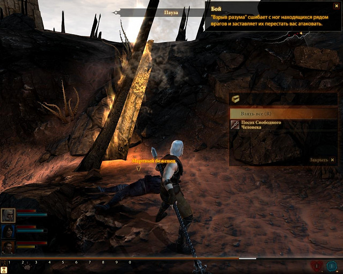 Скриншот из игры Dragon Age 2
