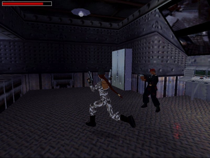 Скриншот из игры Tomb Raider Chronicles