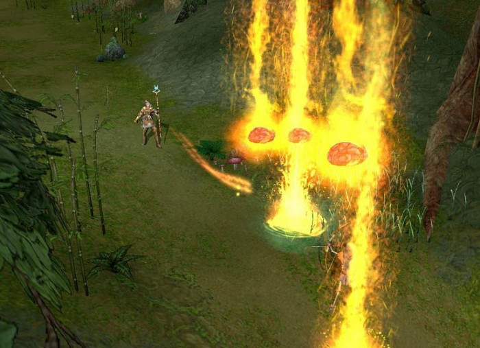 Скриншот из игры Dragonshard
